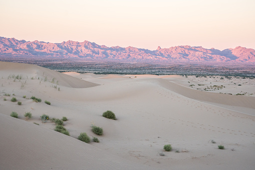 A view of the beautiful Algodones Dunes outside of Palm Springs in Southern California.