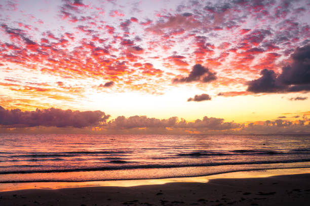istock Australian Sunrise in Port Douglas 925600768
