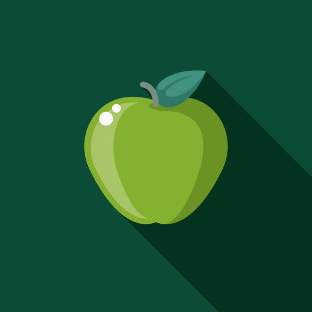 ilustrações de stock, clip art, desenhos animados e ícones de nutrition flat design naturopathy icon with side shadow - apple granny smith apple green vector