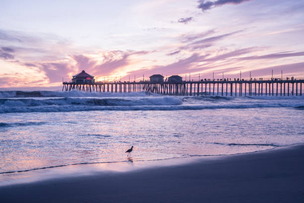 istock Gorgeous Huntington Beach Sunset 925608060
