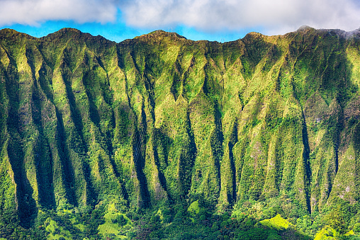The beautiful detail of the ridges in the side of the mountains on the island of Oahu, Hawaii shot from a helicopter at altitude of about 1000 feet.