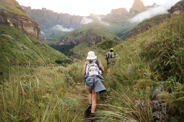 istock Setting off to find some new adventures 925611058
