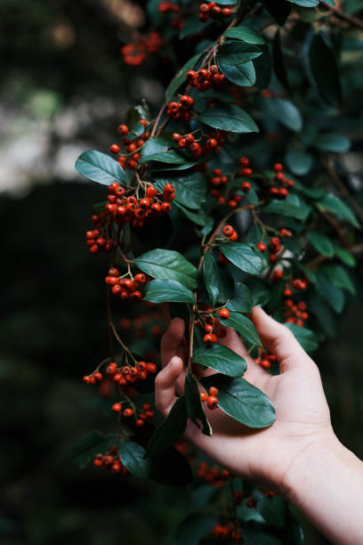 istock Nature is filled with colorful beauty 925611072