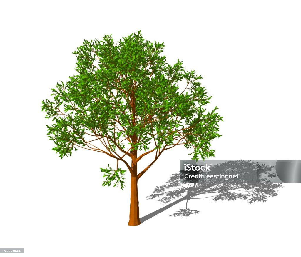 Apple Tree Visual Apple Tree Isolated On White Background 3d Rendering Illustration Stock ...