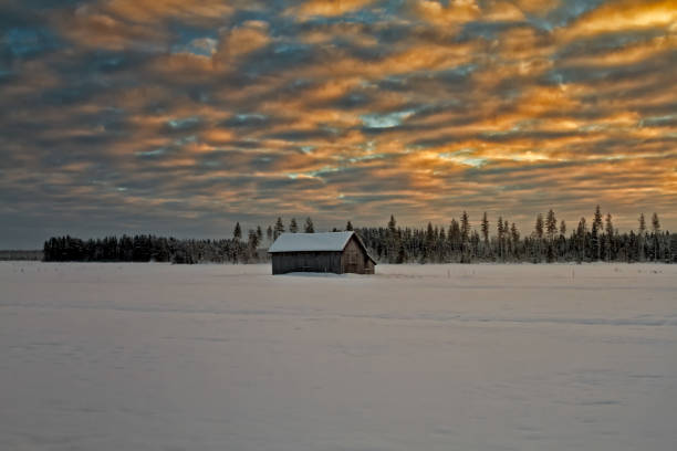 холодный вечер на полях - winter finland agriculture barn стоковые фото и изображения