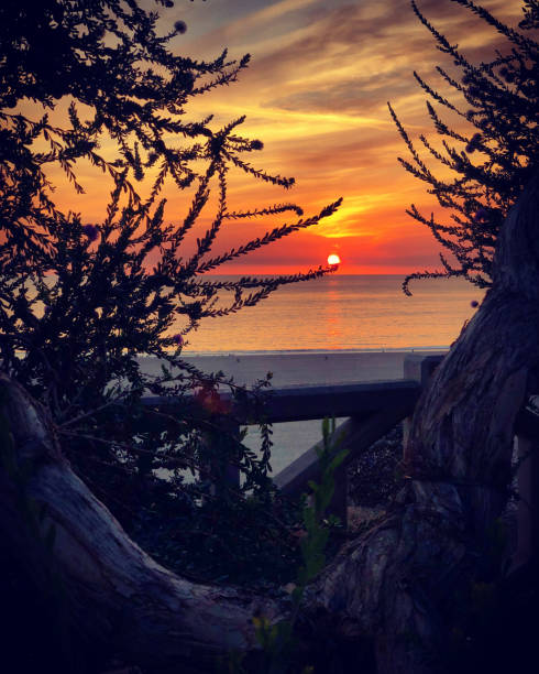 Sunset on Santa Monica beach, California, USA