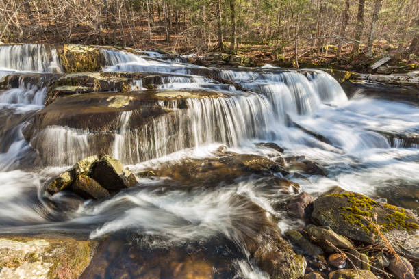 istock Forest and Falls on Stony Clove Creek 925615024