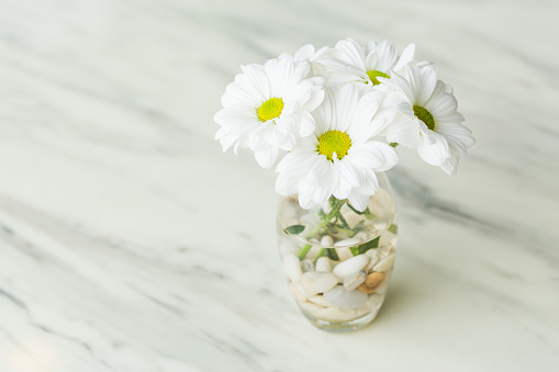 Chamomile bouquet in glass
