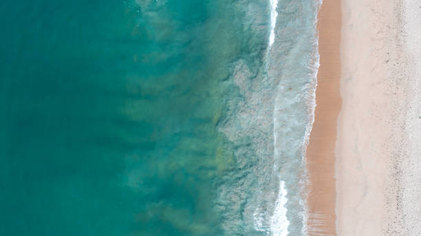 istock Waves in Newport Beach, California 925622010