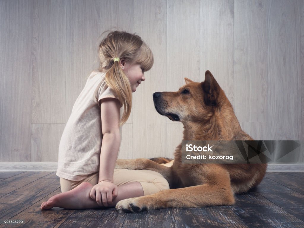 A wonderful little girl and a huge dog communicate with each other A wonderful little girl and a huge dog communicate with each other. The dog is terrible, but kind. An animal loves a child. Dog Stock Photo