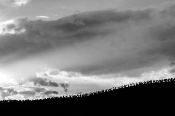 istock Sunset over a trees line on a hill, with sun rays coming out through some clouds 925631690