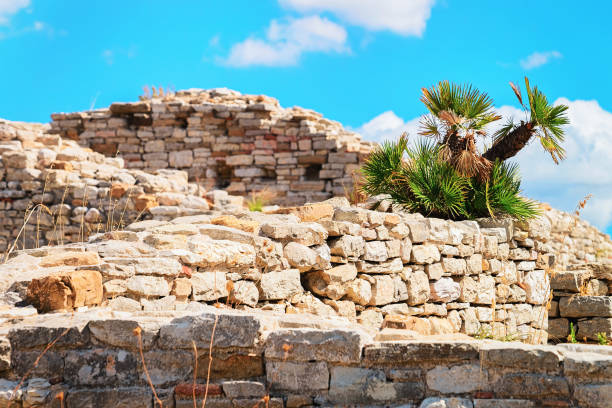 istock Ancient ruins at Greek Theatre in Segesta in Sicily 925632114