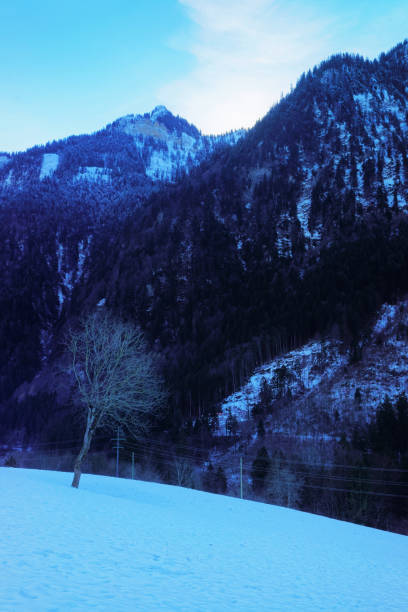 Mountain peaks ridge at winter Swiss Alps mounts Helicopter view of Mountain peaks ridge at winter Swiss Alps thun interlaken winter switzerland stock pictures, royalty-free photos & images