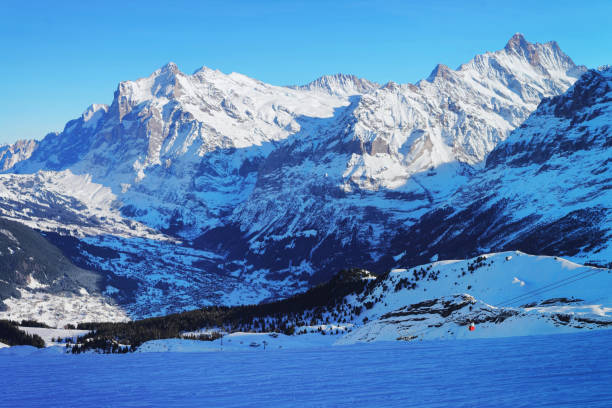istock Grindelwald valley with Grindelwald valley Jungfrau Eiger and Monch 925636466