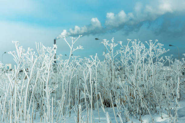 Winter town in extreme cold