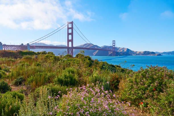 skyline di san francisco al sunny day, california, usa - golden gate bridge san francisco county san francisco bay bay foto e immagini stock