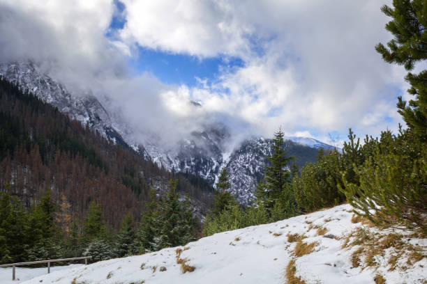 istock Winter trail in Tatra mountains 925648100