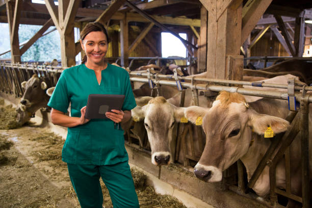 istock Woman holding digital tablet 925648452