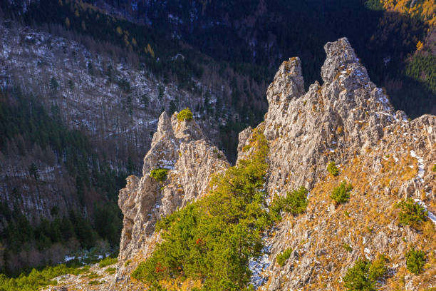 istock Scenery of Tatra mountains at winter 925648864