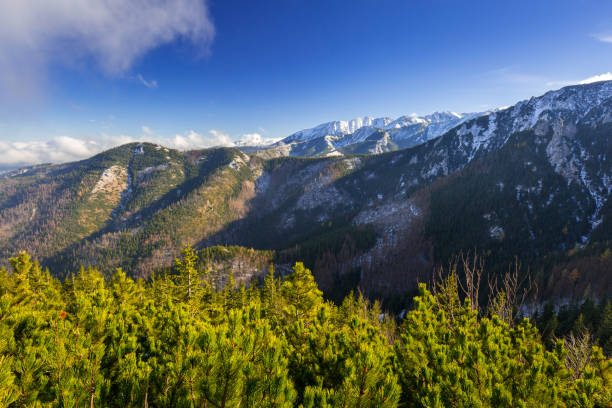 istock Scenery of Tatra mountains at winter 925649054