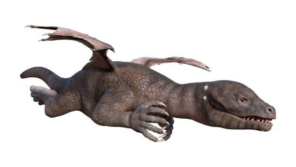 istock 3D rendering fantasy hatchling dragon on white 925653310