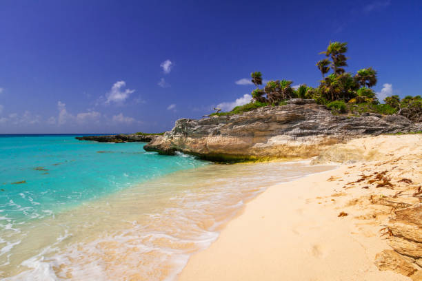 istock Beautiful beach at Caribbean sea 925656736