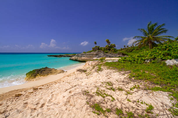 istock Beautiful beach at Caribbean sea 925656750
