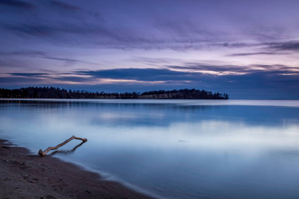 istock Sunset at the beach with a branch in the foreground 925657000