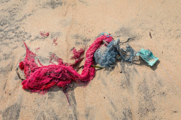 Trincomalee, Sri Lanka - December 7, 2017: Fishing net and different kind of plastic garbage burried in the sand on the beach. The everlasting plastic and nylon are an increasing problem in nature.