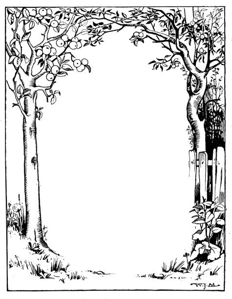 античные иллюстрации книги детей: рамка веся - tree book apple apple tree stock illustrations