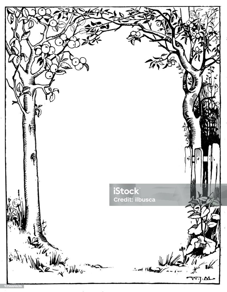 Antique children book illustrations: Tree frame Frame - Border stock illustration