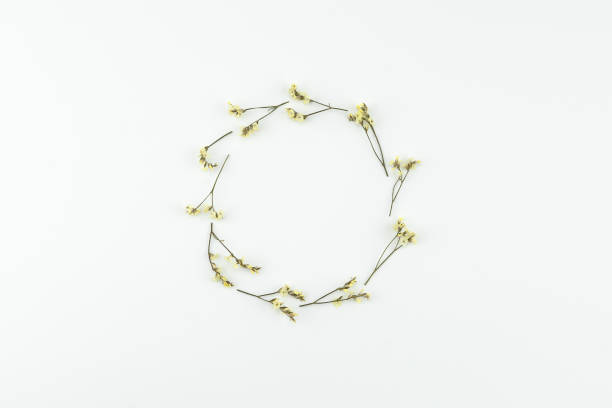 The history of wreaths is said to date back to ancient Rome.\n\