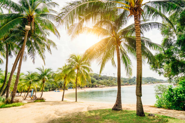 Sentosa Island Beach, Singapore