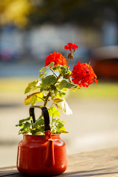 Decoration with a vintage teapot and flowers