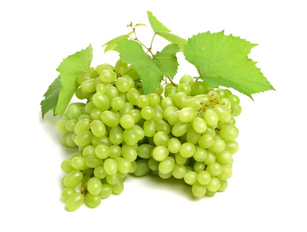 istock A collection of grapes separated on a white background 925674280