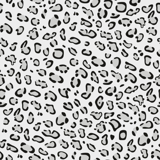 シームレス �パターン。イルビス雪ヒョウの皮の模倣。灰色の背景に黒とグレーの斑点。 - snow leopard leopard animal snow点のイラスト素材／クリップアート素材／マンガ素材／アイコン素材
