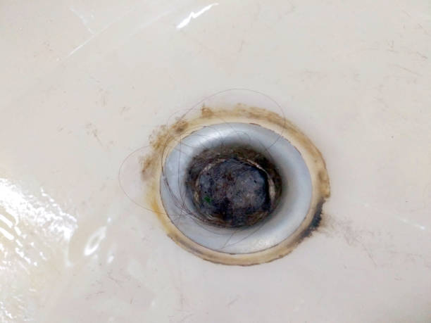 istock clogged sink, mostly by hairs, slows down drainage 925682260