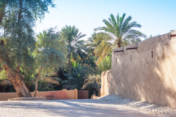 istock Jimi Oasis in Al Ain in the UAE 925682262