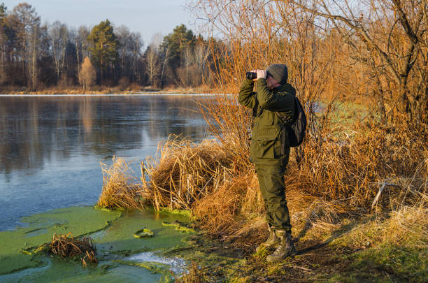 istock Duck hunting in late autumn 925684732