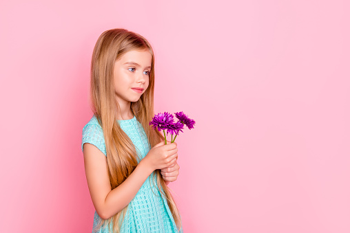 Concept of innocence purity loveliness beauty and tenderness. Cute beautiful clothed in light blue dress with long blonde hair girl is holding a bouquet of purple flowers, isolated on pink background