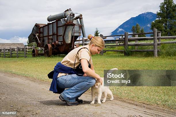 Jovem Mulher Com Um Gato - Fotografias de stock e mais imagens de Adulto - Adulto, Agricultura, Amor