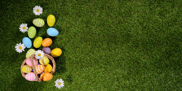 istock above top view of multi colored painted easter eggs on the green grass with springtime daisy flowers 925693562