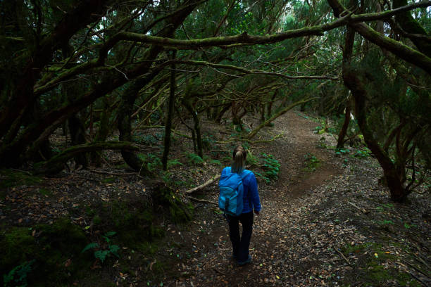 istock hiker woman exploring the woodland 925693570