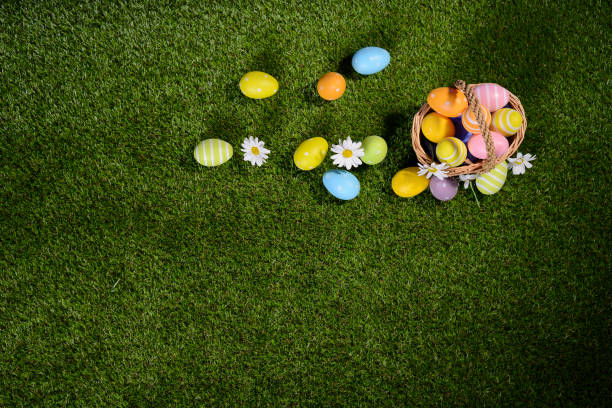 istock above top view of multi colored painted easter eggs on the green grass with springtime daisy flowers 925694110