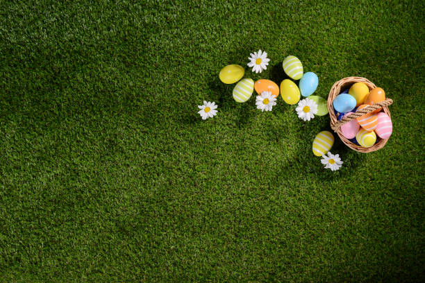istock above top view of multi colored painted easter eggs on the green grass with springtime daisy flowers 925694152