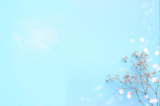 Baby blue background with small white flowers and bokeh, with copy space