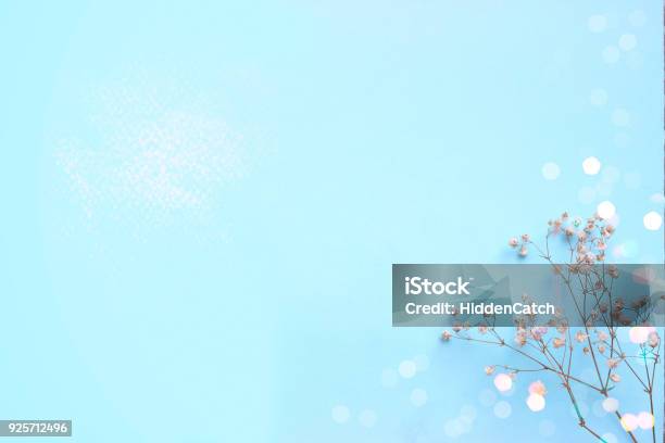 Baby Blue Background With Small White Flowers And Bokeh With Copy Space Stock Photo - Download Image Now