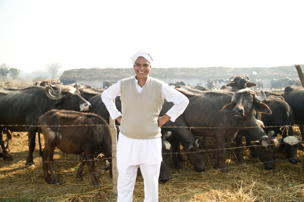 istock Portrait of buffalo shepherd 925717232