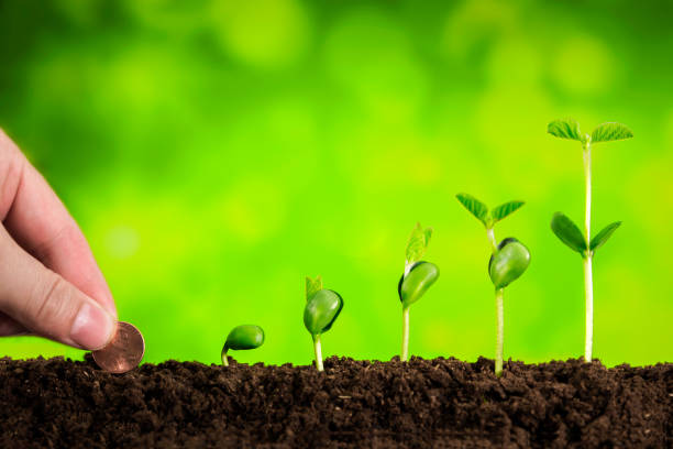 istock business growth:plant growing in soil on blue background 925717476