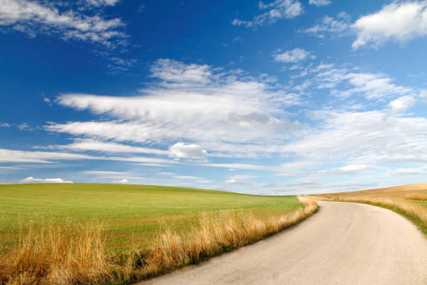 istock sunny country road 925720448